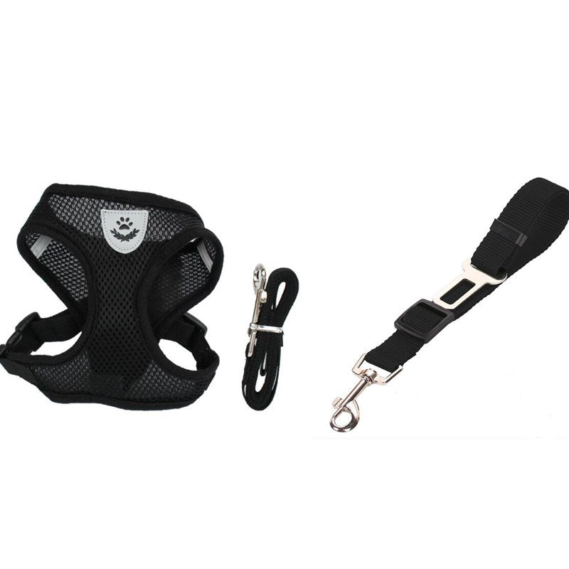 Fluffy white dog wearing a pink harness, enjoying the outdoors, promoting safety with a pet car seat belt leash.