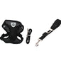 Fluffy white dog wearing a pink harness, enjoying the outdoors, promoting safety with a pet car seat belt leash.