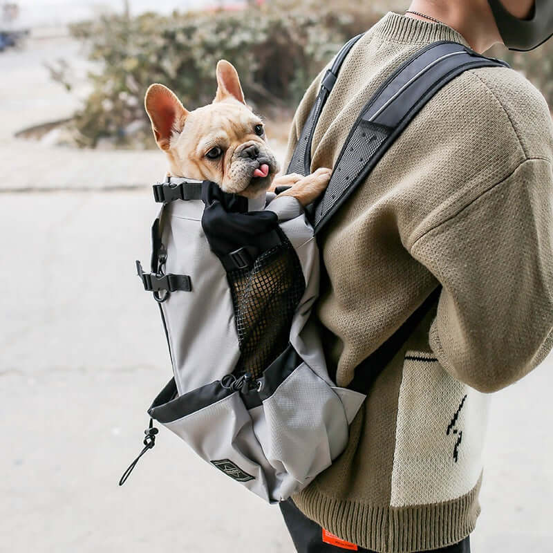 dog carrier backpack featuring a small dog comfortably nestled in a stylish backpack worn by a person outdoors.