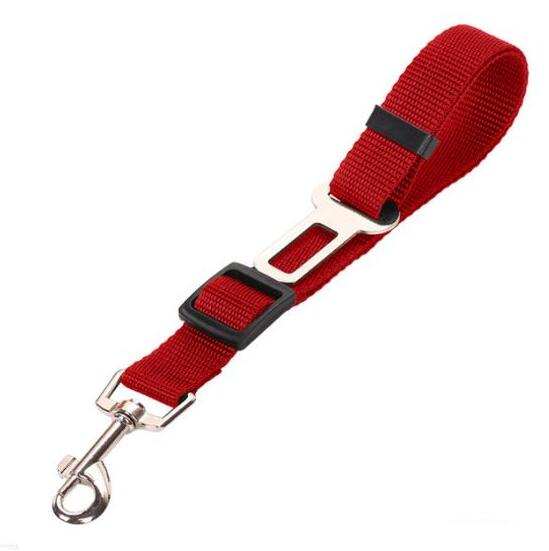 Fluffy white dog wearing a pink harness, enjoying the outdoors, promoting safety with a pet car seat belt leash.