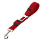 Fluffy white dog wearing a pink harness, enjoying the outdoors, promoting safety with a pet car seat belt leash.