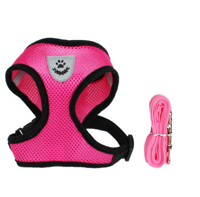 Fluffy white dog wearing a pink harness, enjoying the outdoors, promoting safety with a pet car seat belt leash.