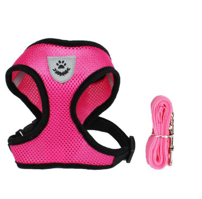 Fluffy white dog wearing a pink harness, enjoying the outdoors, promoting safety with a pet car seat belt leash.