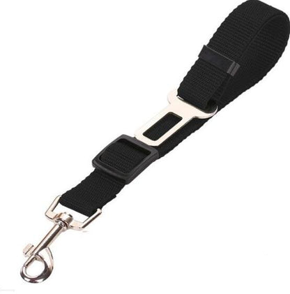 Fluffy white dog wearing a pink harness, enjoying the outdoors, promoting safety with a pet car seat belt leash.