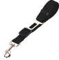 Fluffy white dog wearing a pink harness, enjoying the outdoors, promoting safety with a pet car seat belt leash.