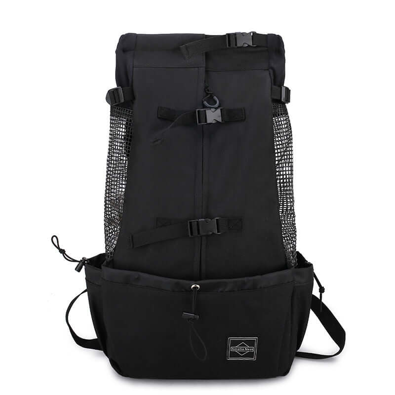 Dog carrier backpack for small dogs and cats with sturdy design and mesh panels for ventilation.