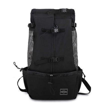 Dog carrier backpack for small dogs and cats with sturdy design and mesh panels for ventilation.