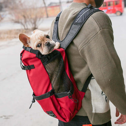 A person wearing a dog carrier backpack, transporting a small dog securely during an outdoor adventure.