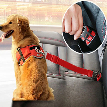 Golden retriever in adjustable pet safety seat belt attached to car seat for secure travel.