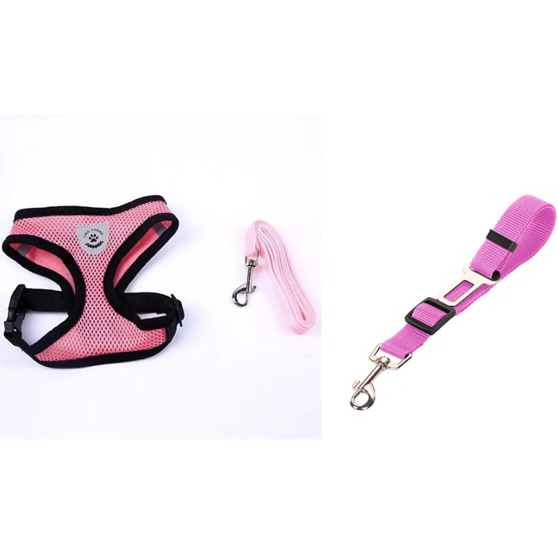 Fluffy white dog wearing a pink harness, enjoying the outdoors, promoting safety with a pet car seat belt leash.