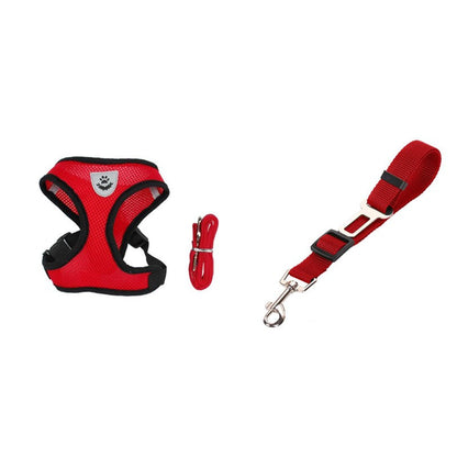 Fluffy white dog wearing a pink harness, enjoying the outdoors, promoting safety with a pet car seat belt leash.
