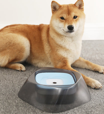 5bd8f8c91a6c80262241dd73b0d0db6No Spill Pet Water Bowl for Dogs & Cats