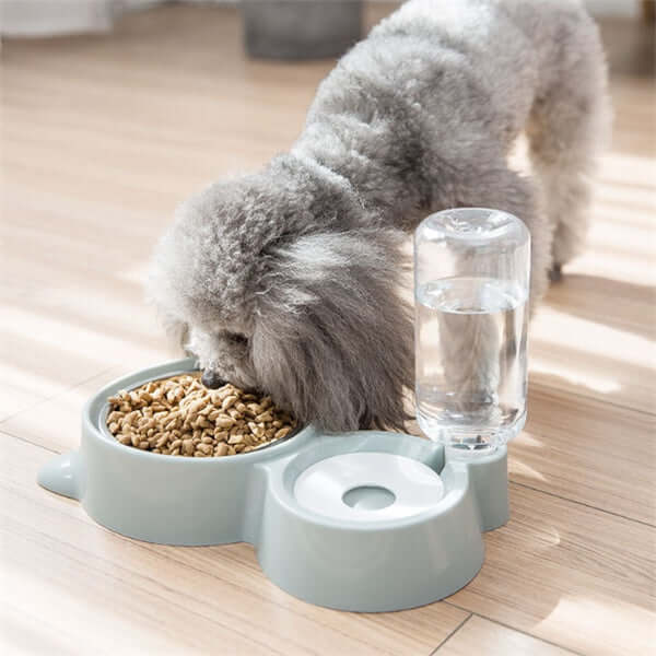 A gray poodle using an automatic dog water bowl with a stainless steel bowl and a water dispenser.