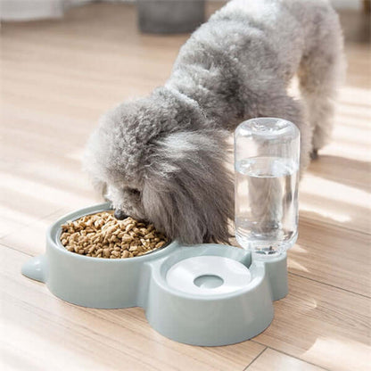 A gray poodle using an automatic dog water bowl with a stainless steel bowl and a water dispenser.