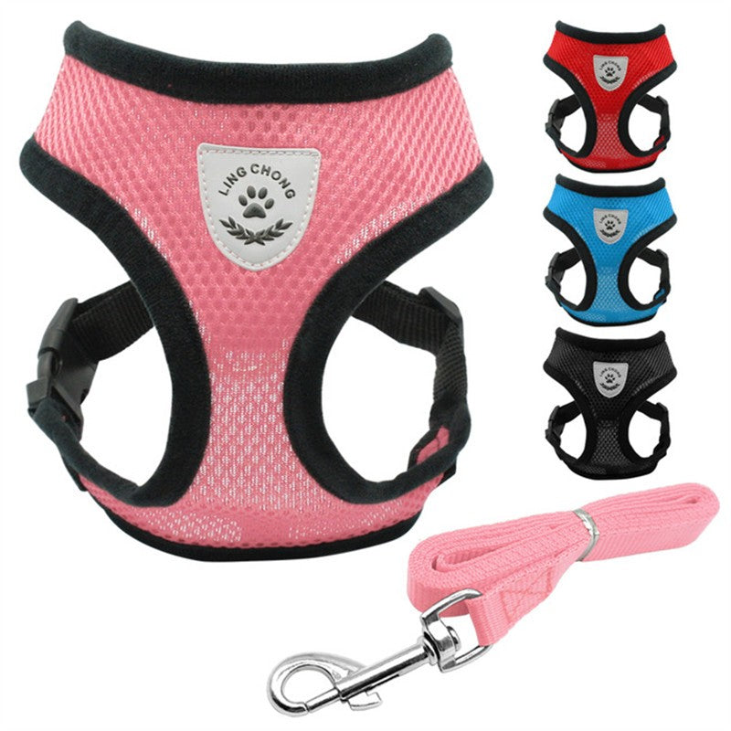 Fluffy white dog wearing a pink harness, enjoying the outdoors, promoting safety with a pet car seat belt leash.