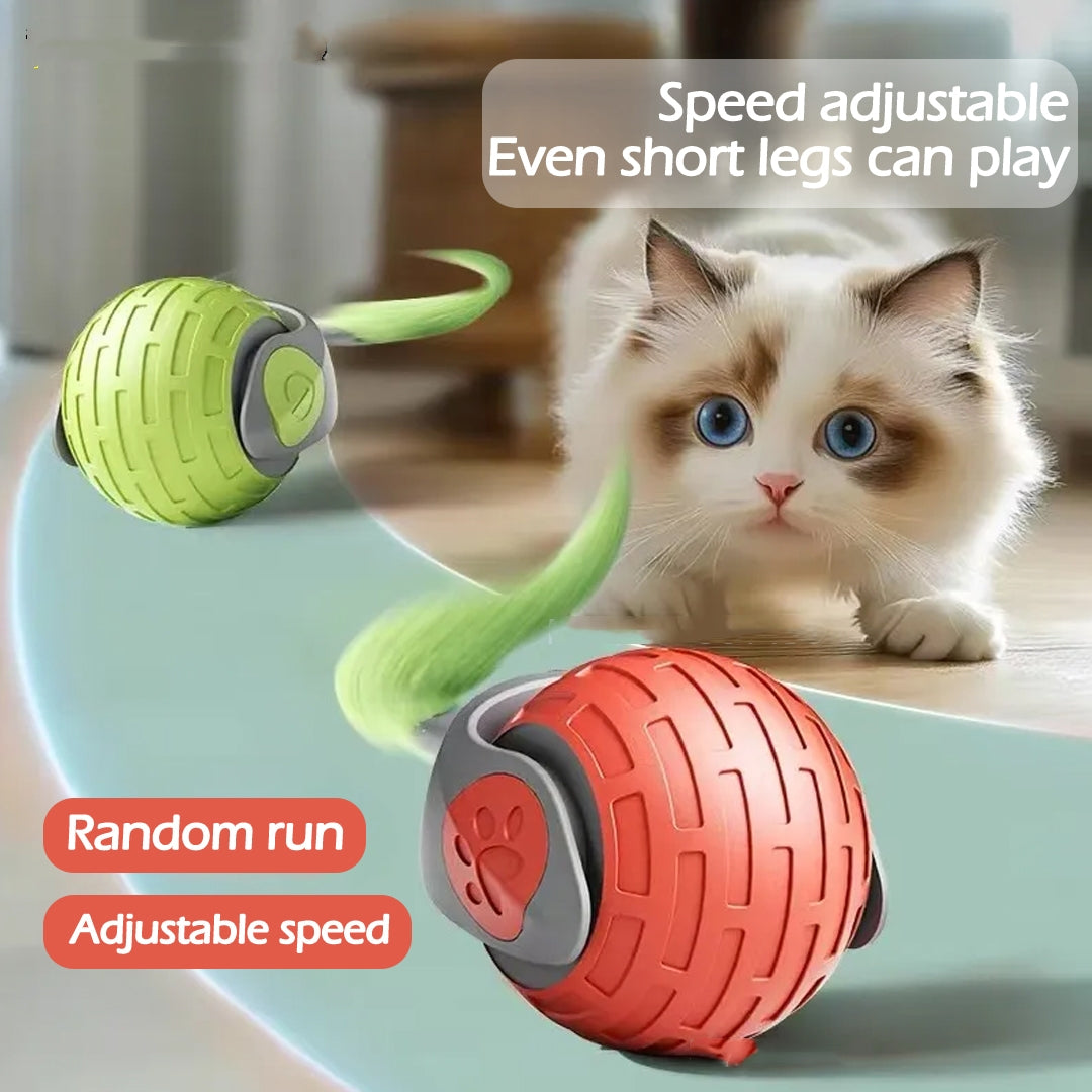 Interactive automatic rolling cat ball toy with adjustable speed, featuring green and red balls, safe for cats.