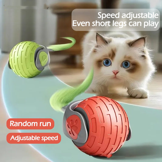 Interactive automatic rolling cat ball toy with adjustable speed, featuring green and red balls, safe for cats.