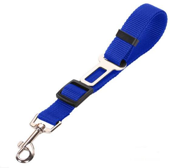 Fluffy white dog wearing a pink harness, enjoying the outdoors, promoting safety with a pet car seat belt leash.