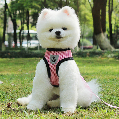 Fluffy white dog wearing a pink harness, enjoying the outdoors, promoting safety with a pet car seat belt leash.