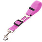 Fluffy white dog wearing a pink harness, enjoying the outdoors, promoting safety with a pet car seat belt leash.