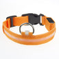 39a8d99988e1be458fbeb3669377df70LED Luminous Pet Dog Collar for Night Walking