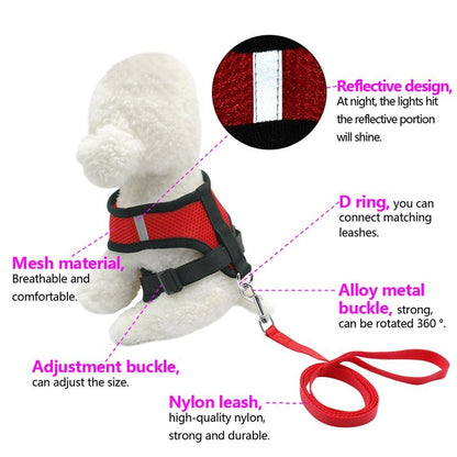 13c02b9fd65ffece0f9972c10decd360Fluffy white dog wearing a pink harness, enjoying the outdoors, promoting safety with a pet car seat belt leash.