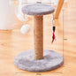 Cat playing with durable sisal cat scratcher in a cozy indoor setting.