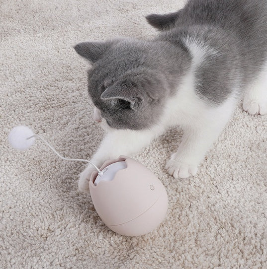 d32a9b595c430d76190d9b52e28bd3b0funny cat toys