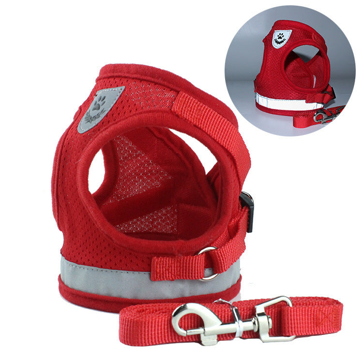 Fluffy white dog wearing a pink harness, enjoying the outdoors, promoting safety with a pet car seat belt leash.