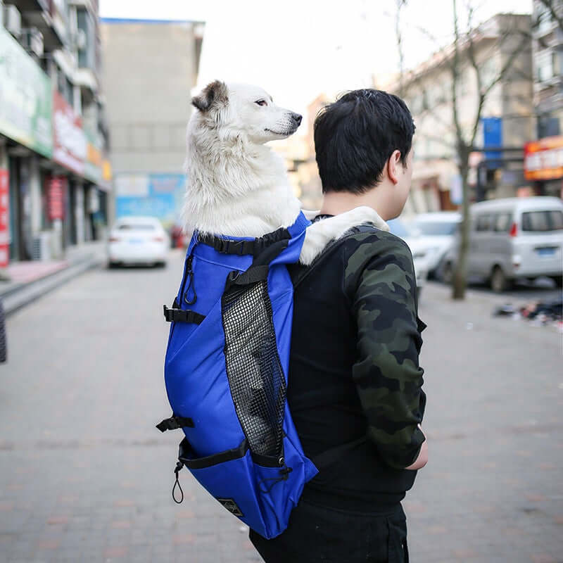 Dog carrier backpack for small dogs and cats being used by a man walking outdoors.