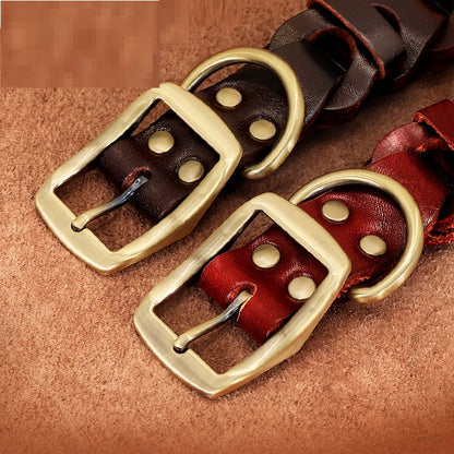 Braided Leather Dog Collar for Medium & Large Dogs