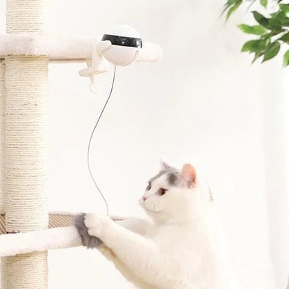 Interactive electronic cat toy in use, providing engagement and playtime for a curious cat.