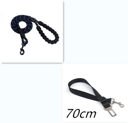 Person walking a dog on a reflective nylon dog leash in a forested area.