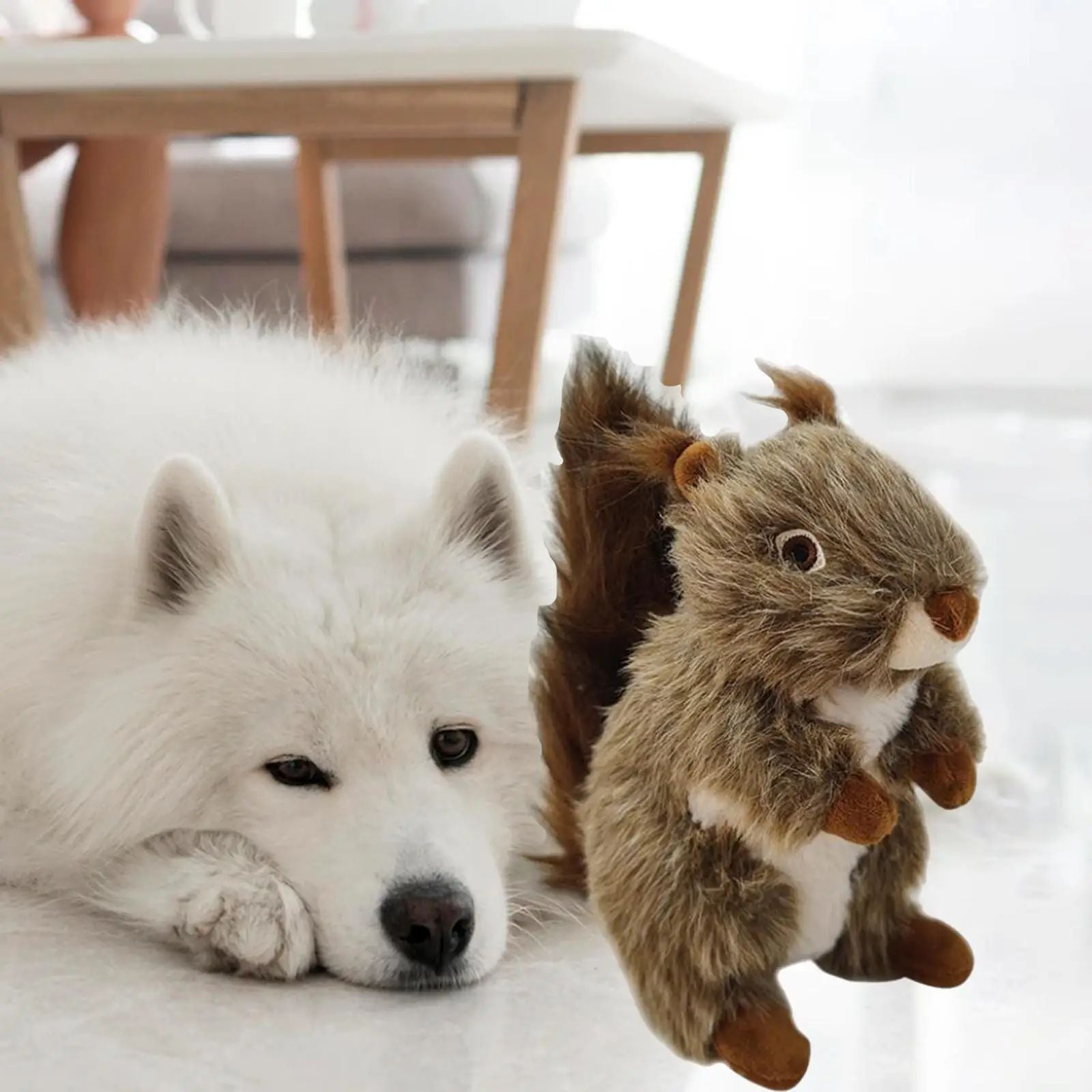 Squirrel squeaky dog toy alongside a Samoyed dog resting on the floor, showcasing an engaging pet playtime.
