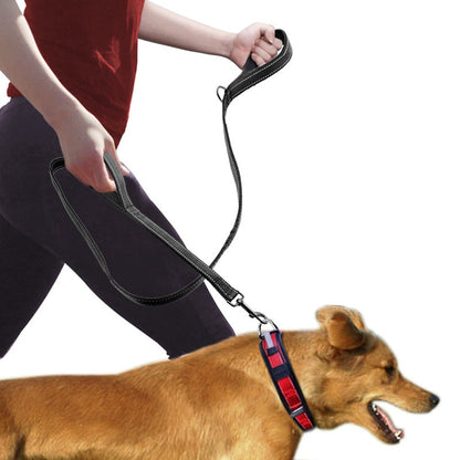Pet Double Handle Leash for Better Dog Control