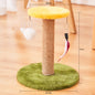 527618f7f13c5Cat playing with durable sisal cat scratcher in a cozy indoor setting.