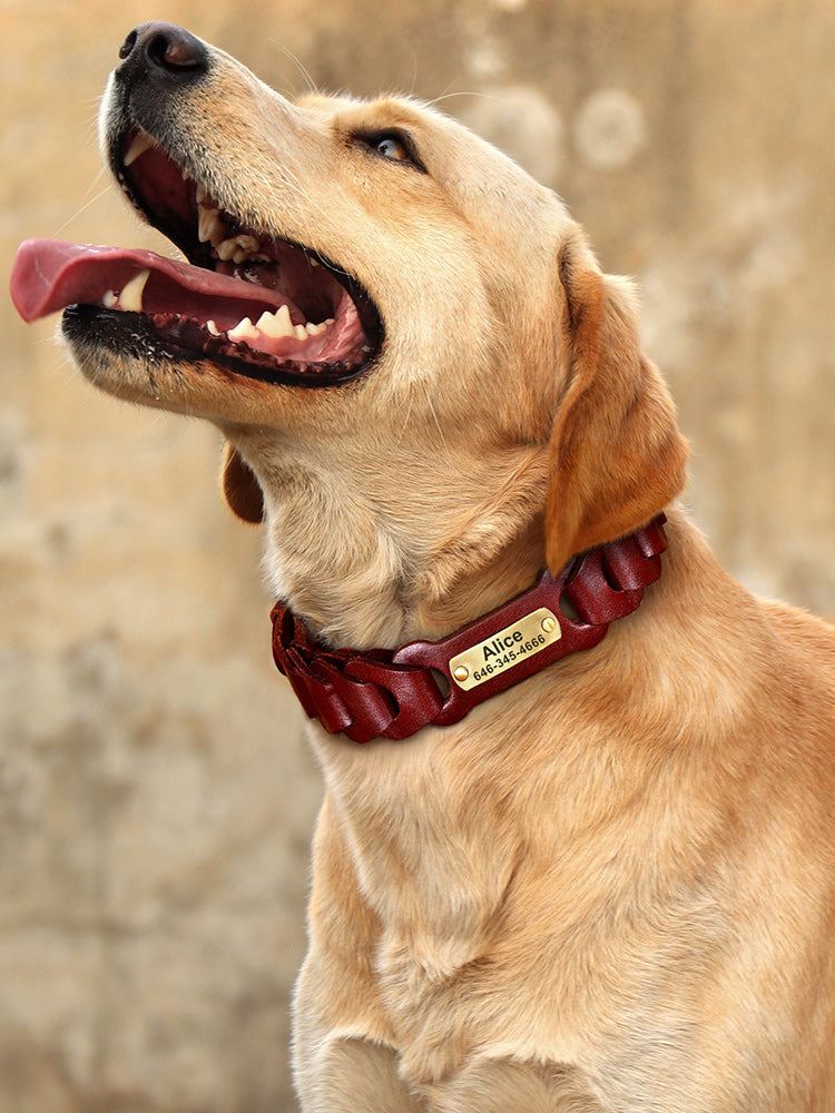 Braided Leather Dog Collar for Medium & Large Dogs